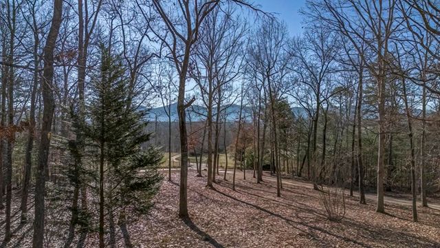 878 Copperhead Road, Blairsville, GA 30560