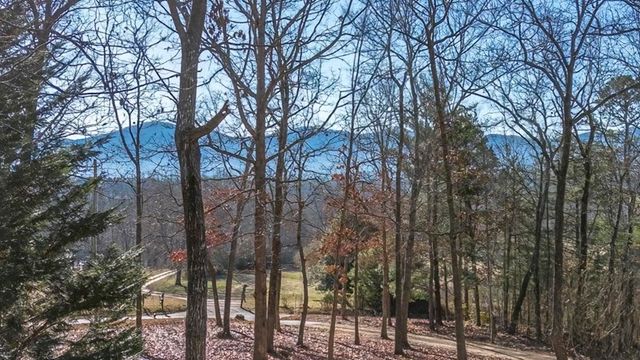 878 Copperhead Road, Blairsville, GA 30560