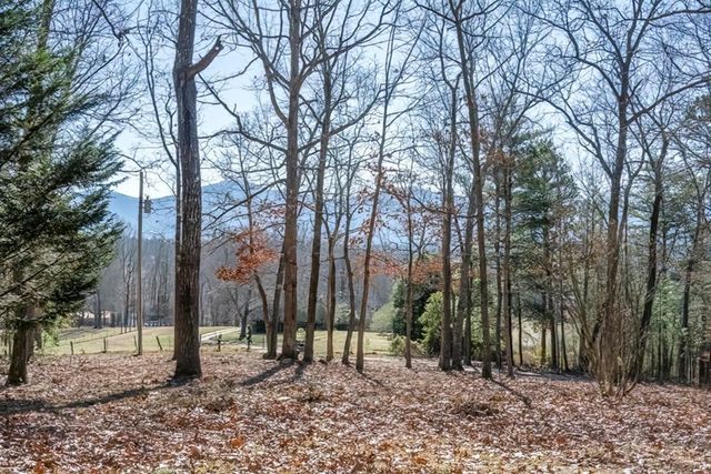 878 Copperhead Road, Blairsville, GA 30560