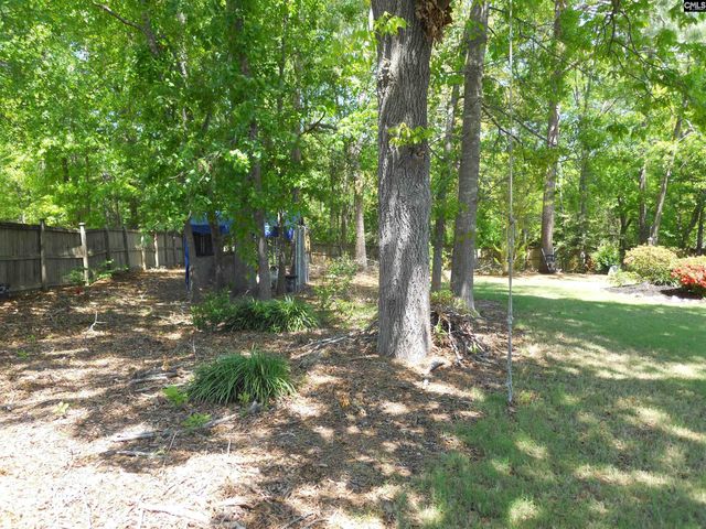 205 Inverness Court, Lexington, SC 29072
