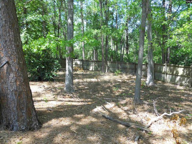 205 Inverness Court, Lexington, SC 29072