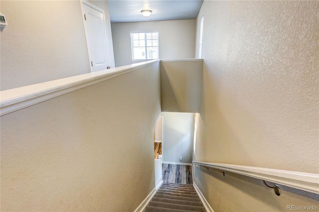 3426 Swabuck Place, Castle Rock, CO 80109
