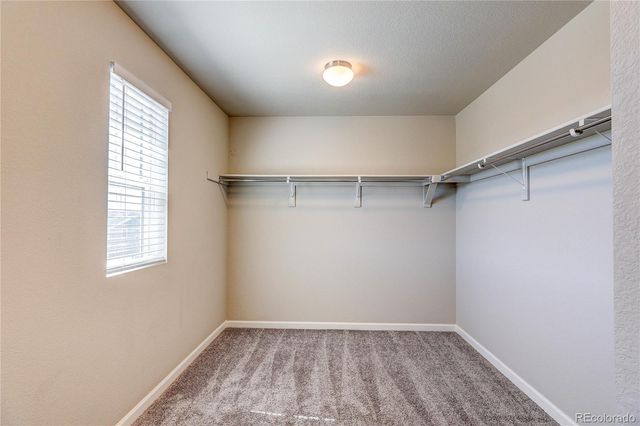3426 Swabuck Place, Castle Rock, CO 80109