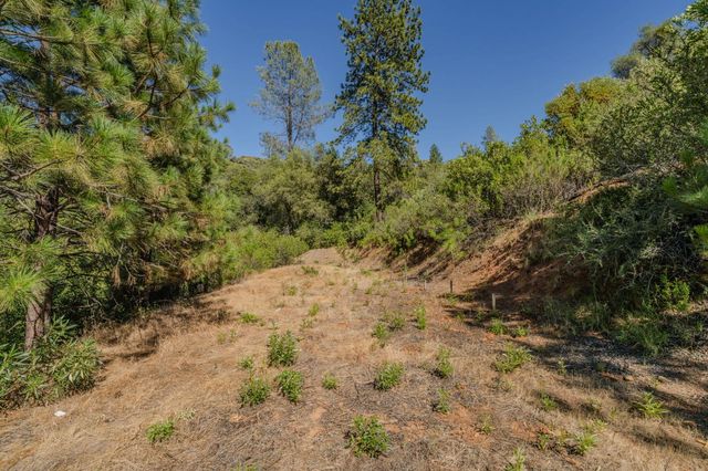 6240 Michel Rd, Mountain Ranch, CA 95246