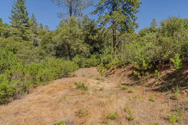 6240 Michel Rd, Mountain Ranch, CA 95246
