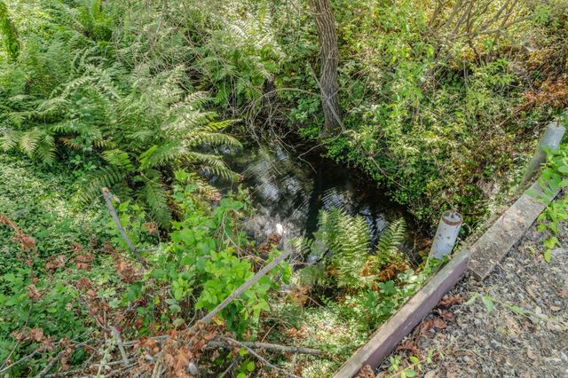 6240 Michel Rd, Mountain Ranch, CA 95246