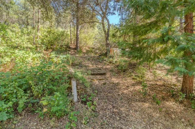 6240 Michel Rd, Mountain Ranch, CA 95246