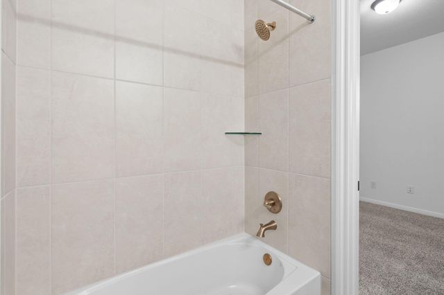 130 West Coralburst Loop, Montgomery, TX 77316