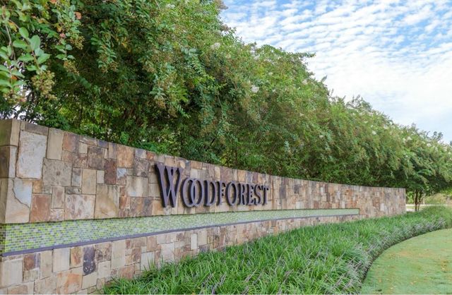 130 West Coralburst Loop, Montgomery, TX 77316