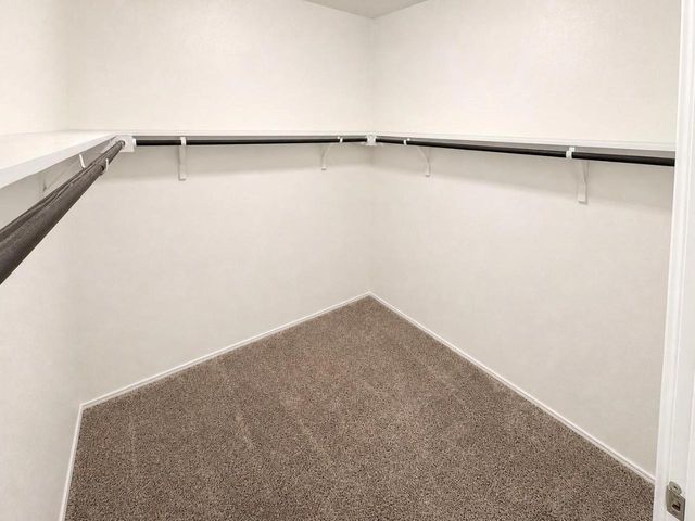 15300 Grenadine Bloom CV, Del Valle, TX 78617