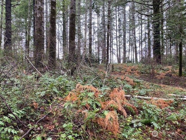 0 Elk Street, Shelton, WA 98584