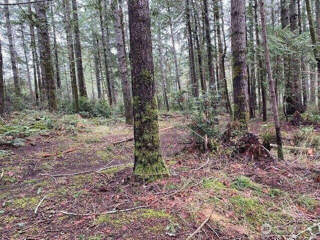 0 Elk Street, Shelton, WA 98584