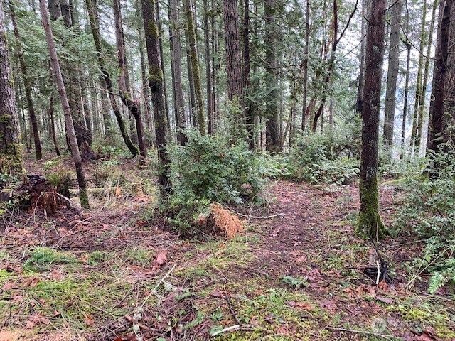 0 Elk Street, Shelton, WA 98584