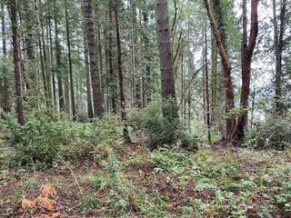 0 Elk Street, Shelton, WA 98584