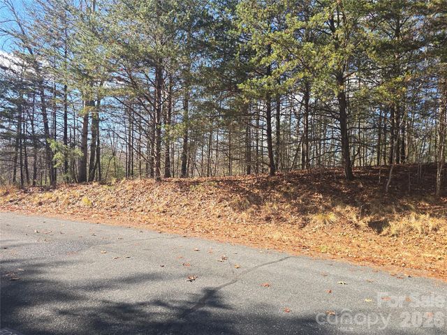 lot 60 Lake Adger Parkway 60, Mill Spring, NC 28756