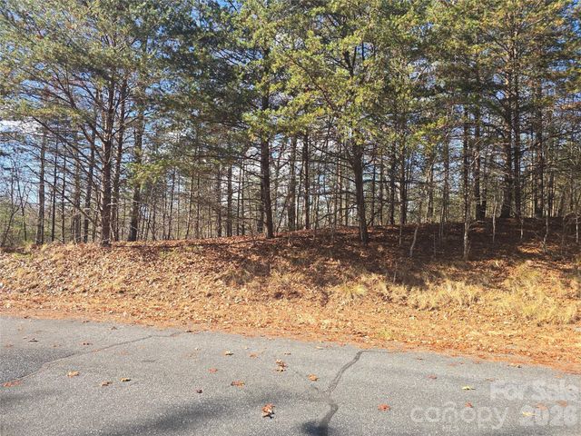 lot 60 Lake Adger Parkway 60, Mill Spring, NC 28756