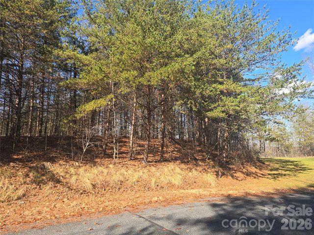 lot 60 Lake Adger Parkway 60, Mill Spring, NC 28756