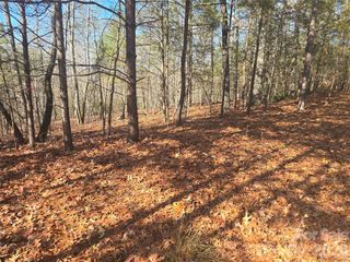 lot 60 Lake Adger Parkway 60, Mill Spring, NC 28756