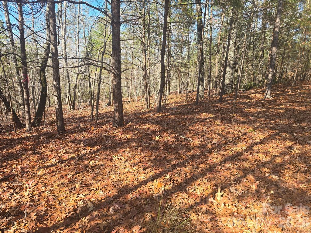 lot 60 Lake Adger Parkway 60, Mill Spring, NC 28756