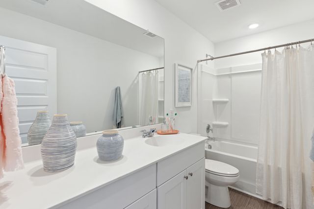 1029 Red Turnstone Run, Summerville, SC 29485