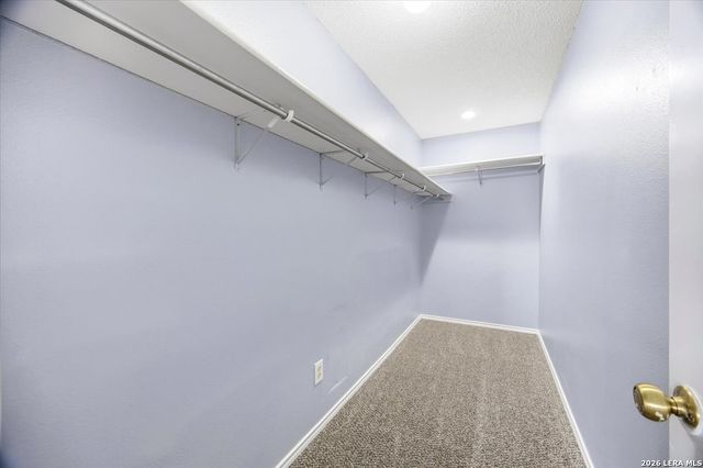 7931 Cortland Oak, San Antonio, TX 78254