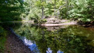 V/L Lame Duck Truck Trl, Alger, MI 48610