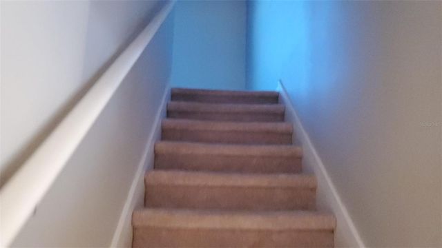 9215 MOUNTAIN MAGNOLIA DRIVE, Riverview, FL 33578