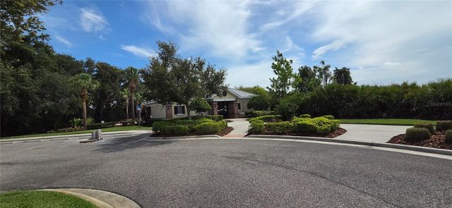 9215 MOUNTAIN MAGNOLIA DRIVE, Riverview, FL 33578