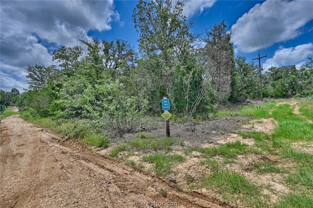Lots 318, 319 & 320 Eagle Trail, Caldwell, TX 77836 — photo 2