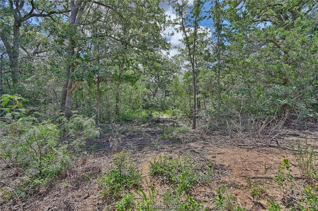 Lots 318, 319 & 320 Eagle Trail, Caldwell, TX 77836 — photo 3