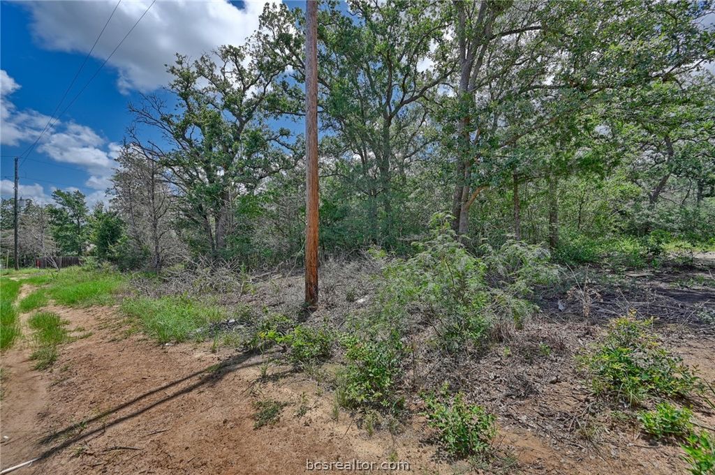 Lots 318, 319 & 320 Eagle Trail, Caldwell, TX 77836 — photo 4