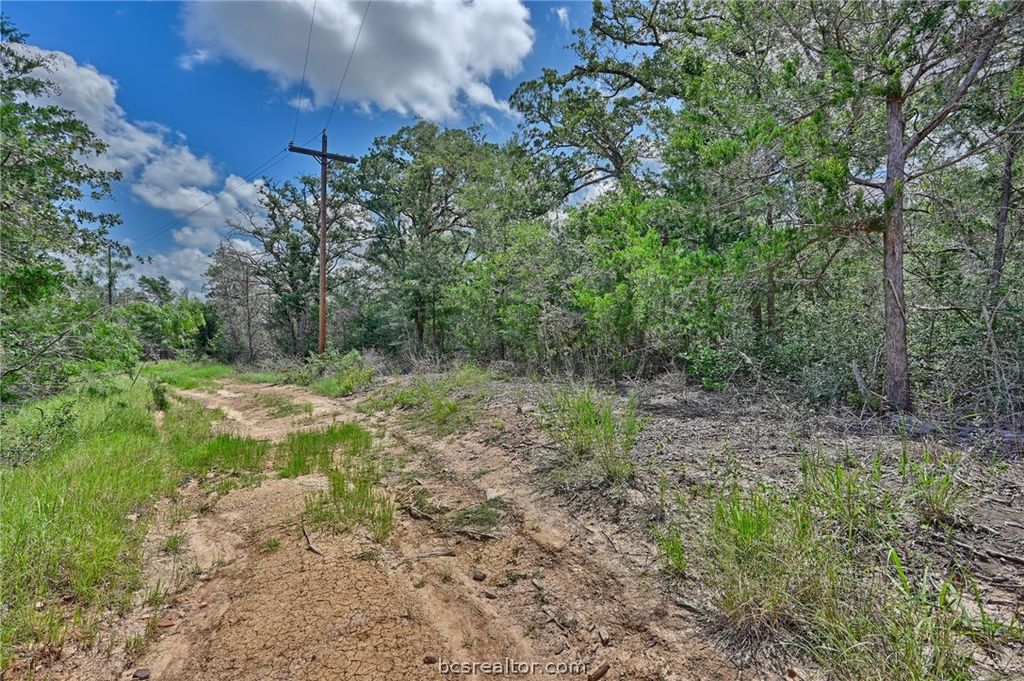 Lots 318, 319 & 320 Eagle Trail, Caldwell, TX 77836 — photo 5