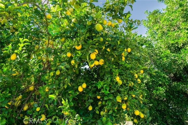 1725 S Elderberry, Ontario, CA 91762