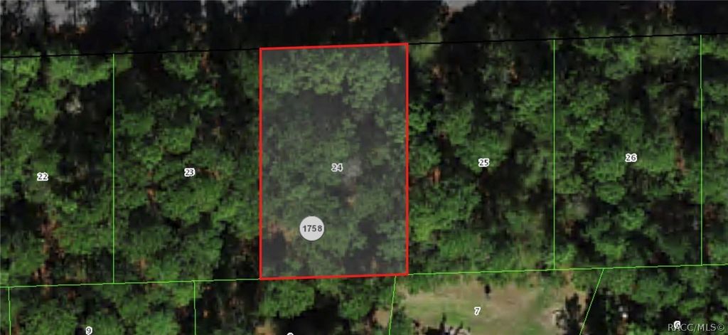 864 W Bannister Drive, Citrus Springs, FL 34434