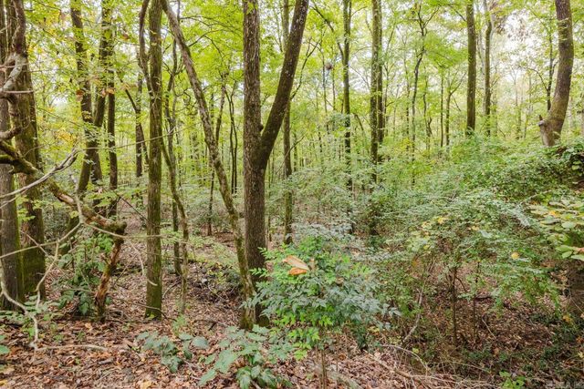 217 N Mission Street, Hot Springs, AR 71913