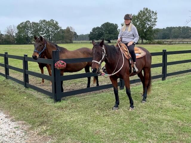 294 Nates Store Road, Cameron, SC 29030