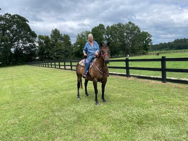 294 Nates Store Road, Cameron, SC 29030