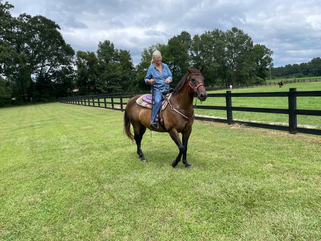 294 Nates Store Road, Cameron, SC 29030