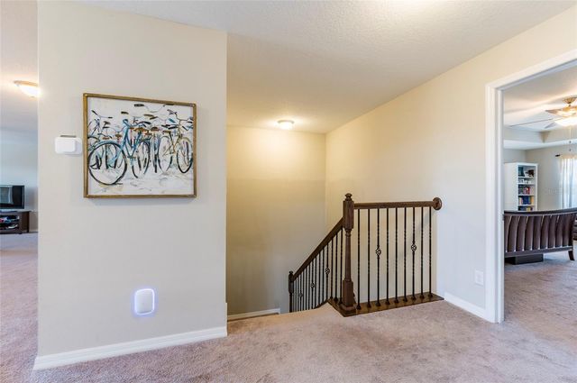 11420 AMAPOLA BLOOM COURT, Riverview, FL 33579