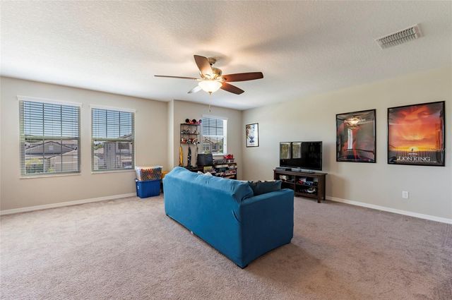 11420 AMAPOLA BLOOM COURT, Riverview, FL 33579