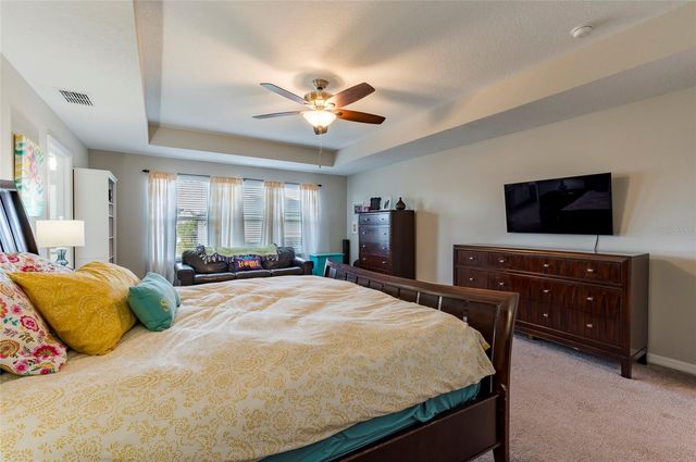 11420 AMAPOLA BLOOM COURT, Riverview, FL 33579