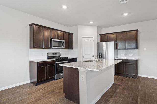 493 Apache Plum DR, Kyle, TX 78640