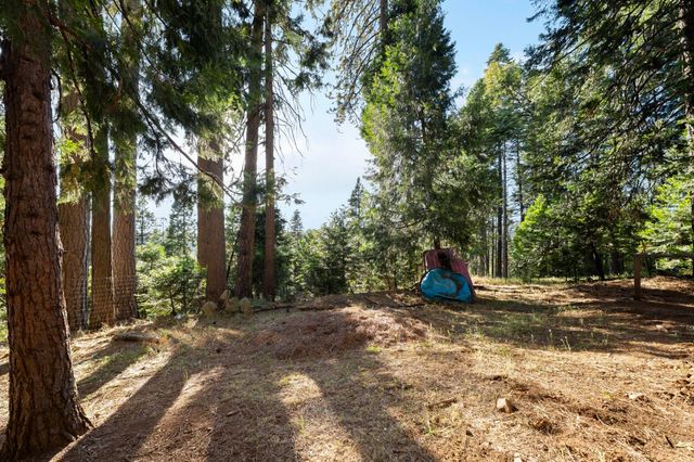4944 Steelhead Ln, Pollock Pines, CA 95726