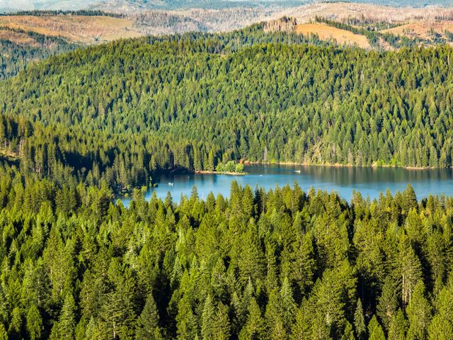 4944 Steelhead Ln, Pollock Pines, CA 95726