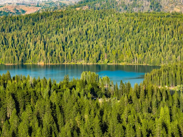 4944 Steelhead Ln, Pollock Pines, CA 95726
