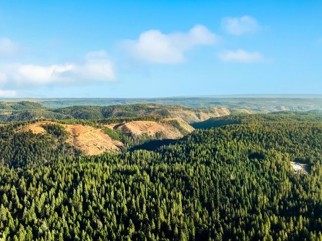 4944 Steelhead Ln, Pollock Pines, CA 95726