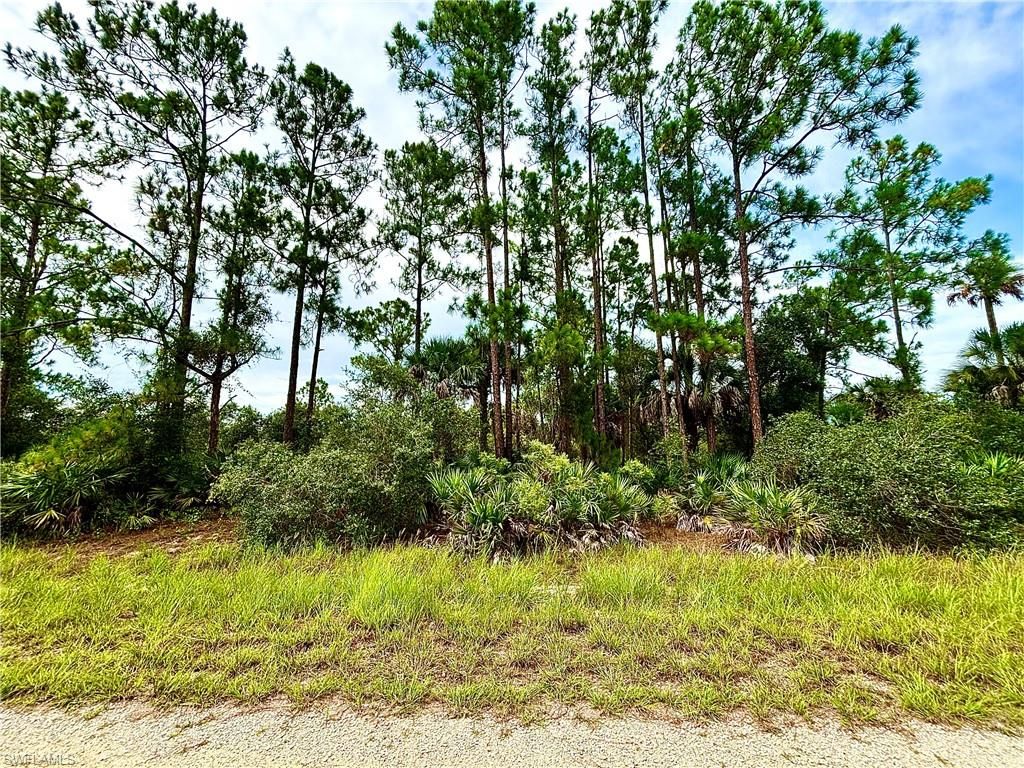 4203 E 27th ST, Alva, FL 33920
