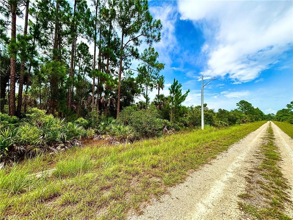 4203 E 27th ST, ALVA, FL 33920 — photo 3