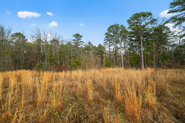 868 County Road 2920, Alba, TX 75410