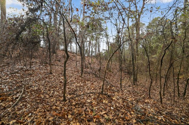 868 County Road 2920, Alba, TX 75410